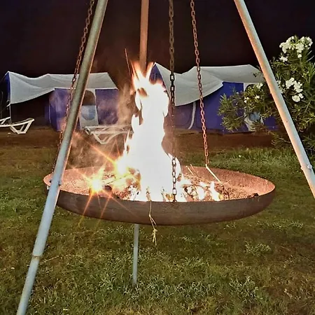 Star Camping *