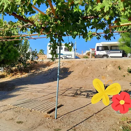 Camping Star *
