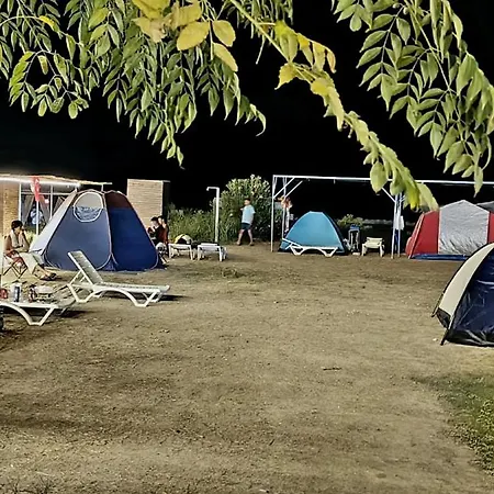 Star Manavgat